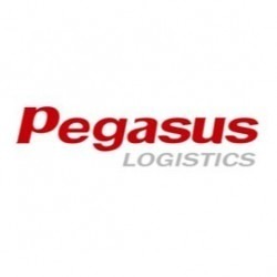 Pgegasus Global Logistics